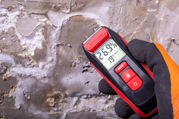 Best Professional Mold Removal  in Emporia, KS