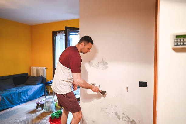 Professional Mold Removal in Emporia, KS