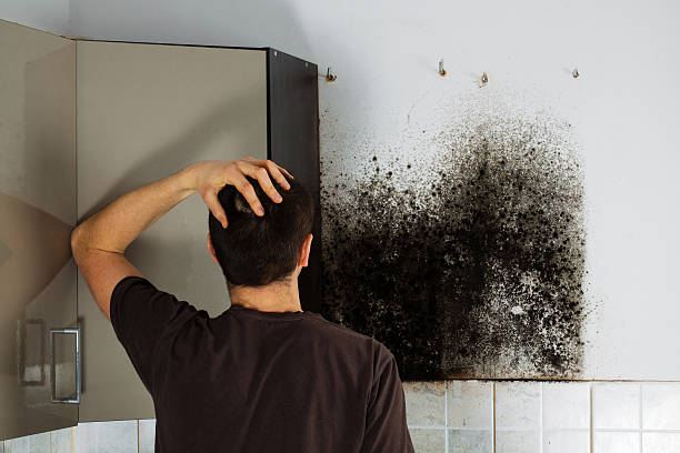 Best Black Mold Removal  in Emporia, KS