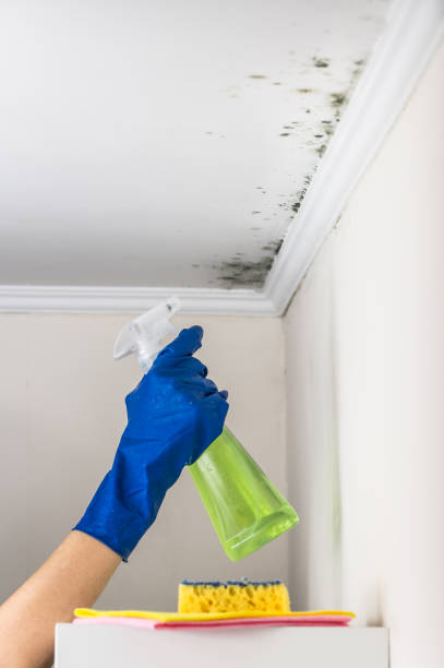 Best Mold Testing  in Emporia, KS
